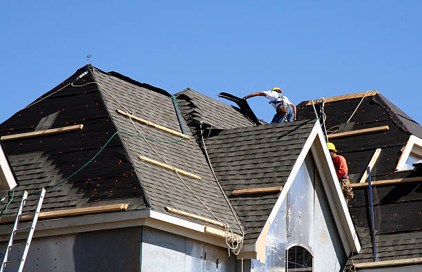 Best Roof Gutter Cleaning  in Eunice, NM